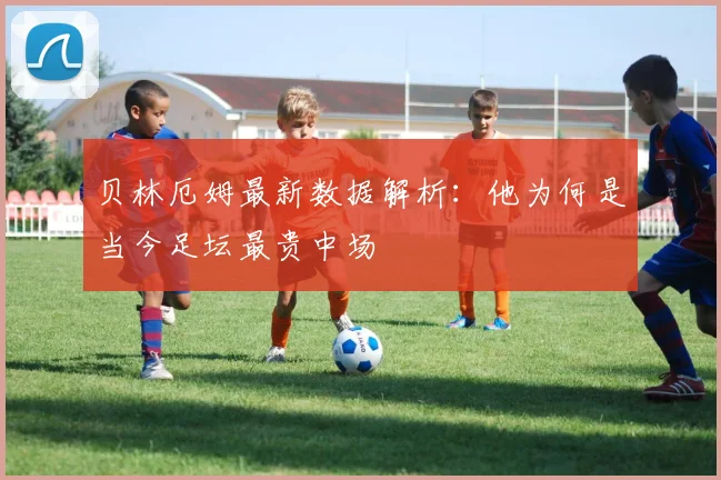 贝林厄姆最新数据解析：他为何是当今足坛最贵中场