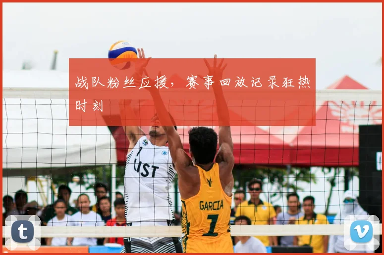 战队粉丝应援,赛事回放记录狂热时刻