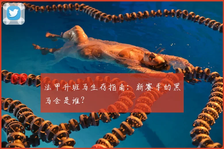 法甲升班马生存指南:新赛季的黑马会是谁?