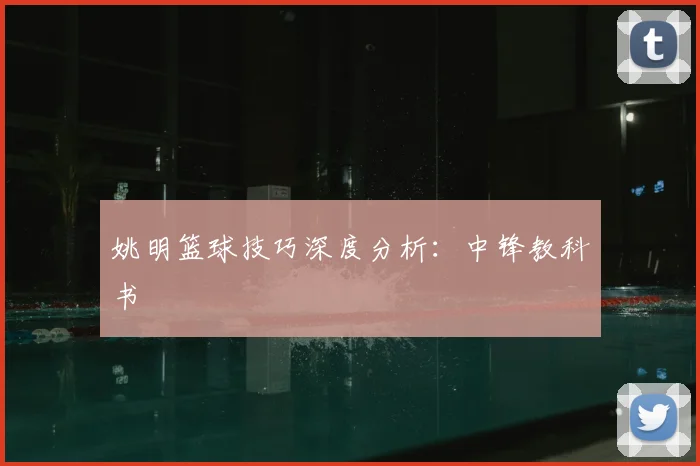 姚明篮球技巧深度分析：中锋教科书